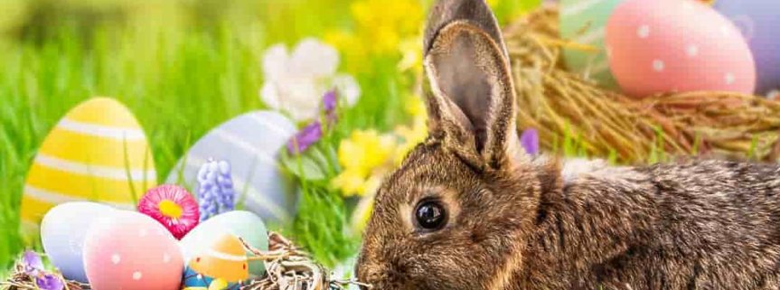 Życzenia Wielkanocne- Gminny Ośrodek Kultury 