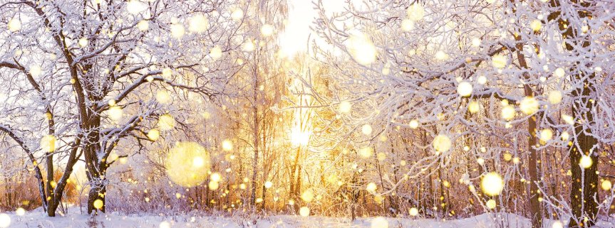 Półkolonie Zimowe w Gminnym Ośrodku Kultury 2026